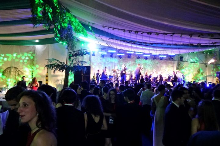 baile_gala 305 Custom